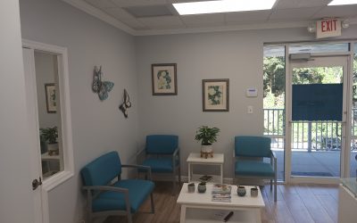 Orlando Shrinks: Your Guide to Losing Weight and Loving the City Beautiful