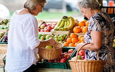 Sunshine & Shedding: Your Winter Park Weight Loss Guide (No Snow Required!) + Bonus Recipe: Winter Citrus Salad with Grilled Halloumi